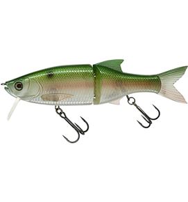 GBL_522_Ghost gizzard shad