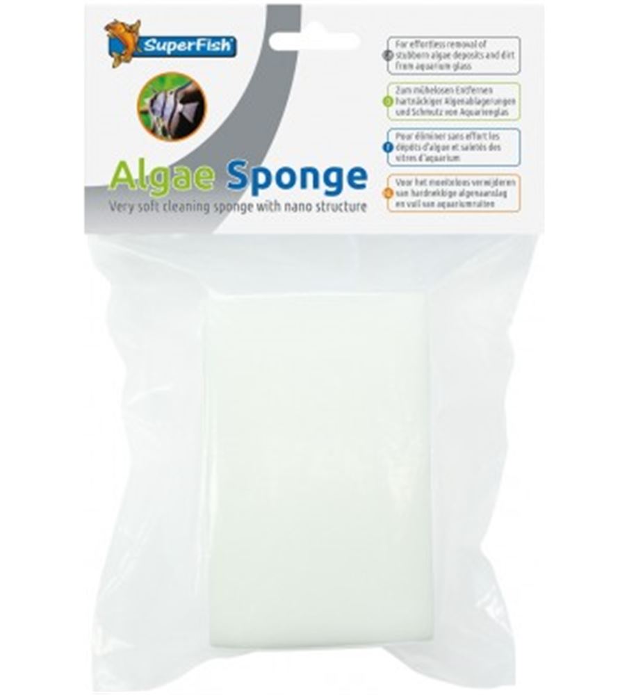 algae_sponge