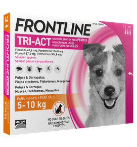FRONTLINE 5A10