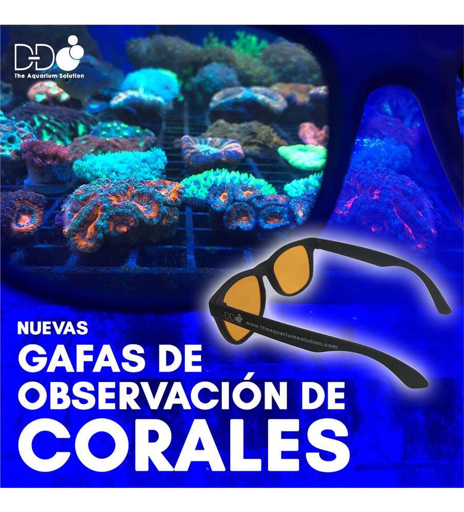 coral_glasses