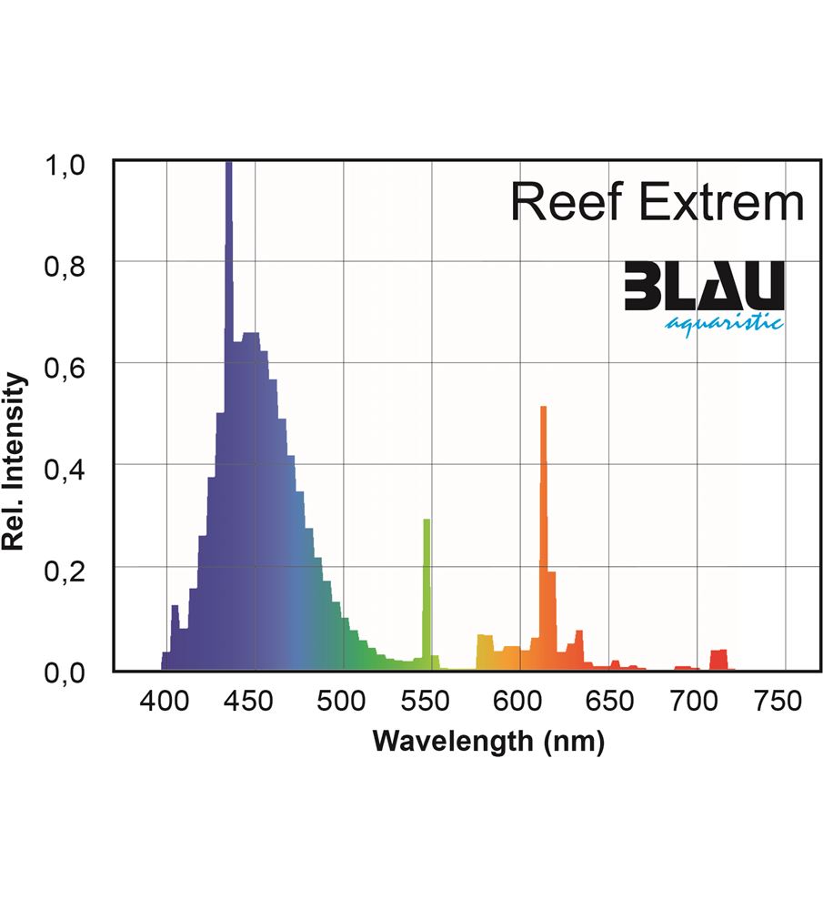 reef-extreme-blau