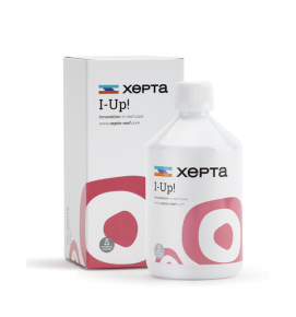 xepta-i-up-500x650