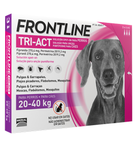 FRONTLINE20A40
