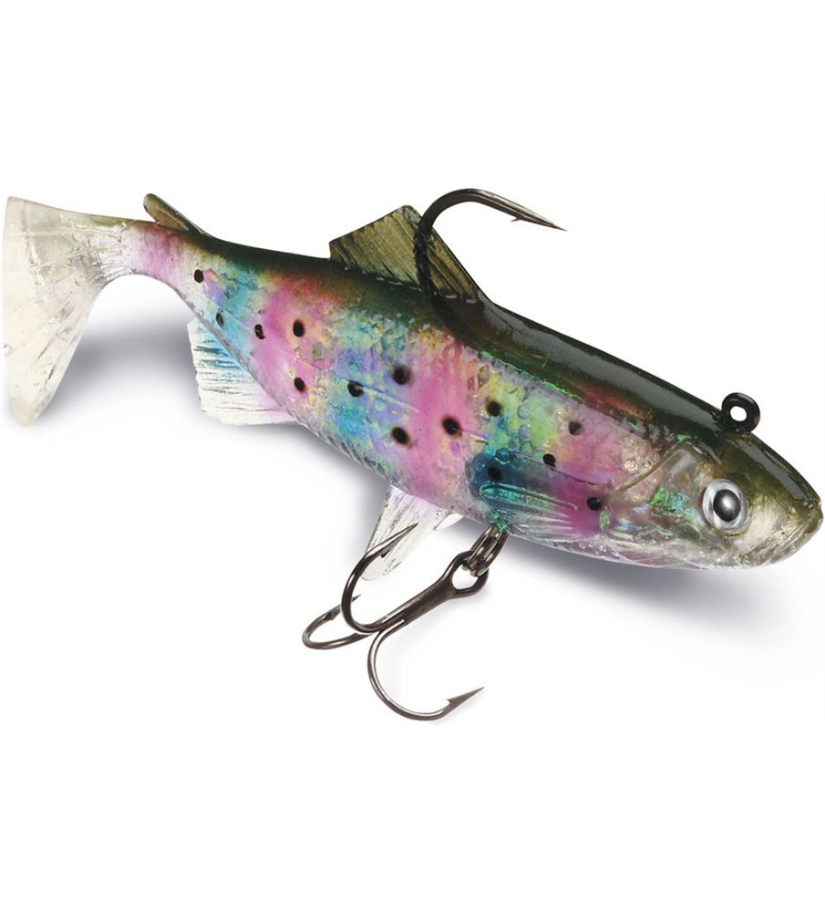 SWL_rainbow trout