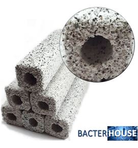 bacterhouse-quartz-square_t